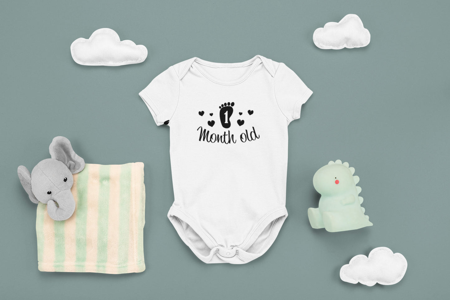 One month to 1 year Baby Onesie®, 1 month - 1 year Onesie®, One month to one year celebration, monthly baby bodysuit.